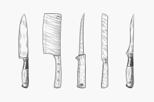Top 12 Knife Types